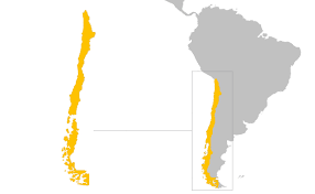 Its vibrant culture is a fusion of european influences and indigenous heritage. Surfing In Chile Nomad Surfers Nomad Surfers