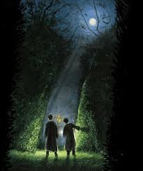 Adrian rawlins, afshan azad, alan rickman and others. Harry Potter E O Calice De Fogo Filme Completo Dublado Drive Harry Potter E O Calice De Fogo Filme Completo Dublado Desta Vez Acontece Um Torneio Entre As Tres