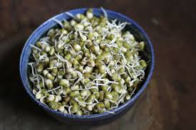 Namun, tahukan anda mengenai cara membuat dan menanam toge dari kacang. Cara Belajar Sains Dengan Mudah Popmama Com
