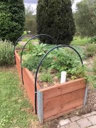 Self watering wicking garden bed. Organic Food Gardens Wicking Garden Beds