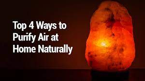 One of the most fantastic ways of purifying air is through activated charcoal. Lung Health Institute Top 4 Ways To Purify Air At Home Naturally