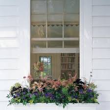 It's a fun job to do, and you'll be able to enjoy the results all season long. How To Hang Window Boxes Martha Stewart