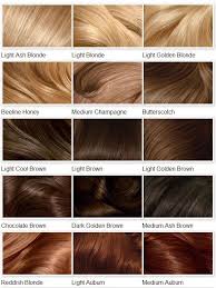 Whats Your Favorite Hair Color In 2019 Clairol Hair