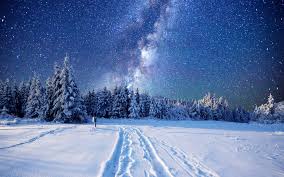 winter night landscape snow night snow forest winter night landscape snow night