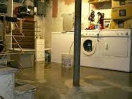 If the damage is significant you may be in the situation to hire several types of professionals. Water Damage Sump Pump Failure Flooded Basement