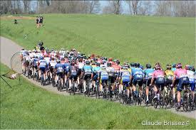 We did not find results for: 55 Grote Prijs Jef Scherens La Presentation Detaillee