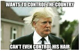 Image result for donald trump memes
