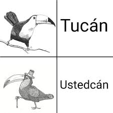 Thirty Funny Animal Memes For Eclectic Tastes In 2020 Funny Animal Memes Animal Memes Funny Animals