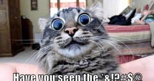 Pin On Make Me Laugh