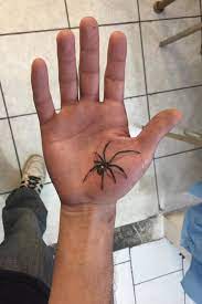 A delicate black widow is not to be trifled with. Tattoo Uploaded By Felipe Torres Cazares Black Blackwidow Spider Tattooartist Tattoo 3d Hand Handtattoo 581306 Tattoodo