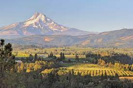 Country to also experiencehood river county fruit loop.promoting your link also lets your audience know that you are featured on a rapidly growing setup your trip planning widget for best results, use the customized trip planning widget for hood river county fruit loop on your website.it has all the. A Road Trip Through Oregon S Fruit Loop 1859 Magazine