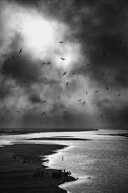 Bathing Under The Beams Limited Edition 1 Of 10 Photograph In 2021 Fine Art Landscape Photography Black And White Landscape Landscape Photography