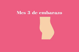 Tercer Mes De Embarazo Sintomas Y Cuidados Incluye Imagenes