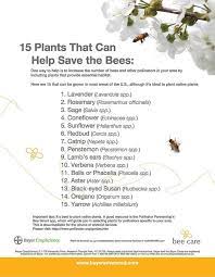 Follow These 3 P S For A Pollinator Friendly Garden The Field Position Pollination Save The Bees Native Plants