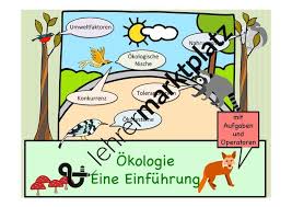 Deckblatt biologie bakterien | bio deckblätter. Okologie Eine Einfuhrung Okosysteme Umweltfaktoren Okologische Nische Habitat Nahrungsnetz Unterrichtsmaterial Im Fach Biologie Okologische Nische Okosystem Biologie