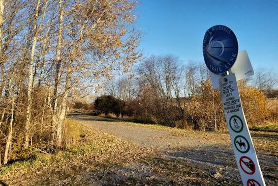 Local recreation destination