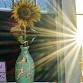 Painted Journeys: Walking Together Through Cancer event image