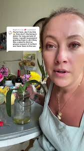 Orchid Rescue: Bringing Orchids Back to Life