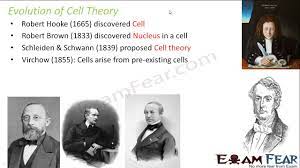 The cell is the basic unit of structure of all living things. Biology Fundamental Unit Of Life Part 2 Cell Theory Evolution Cbse Class 9 Ix Youtube