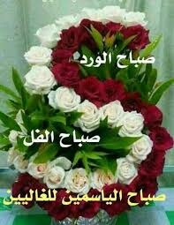 Finde diesen pin und vieles mehr auf صباح الورد والفل والياسمين، صباح الخير von لسان العرب. Mariam George40 On Twitter ØµØ¨Ø§Ø­ Ø§Ù„ÙˆØ±Ø¯ ÙˆØ§Ù„ÙÙ„ ÙˆØ§Ù„ÙŠØ§Ø³Ù…ÙŠÙ†