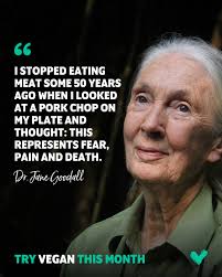 When did you make the connection between the animal and what was