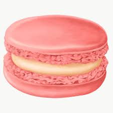 Hand Drawn Sweet Macaron Transparent Png Free Image By Rawpixel Com Noon Macarons Star Shaped Cookies Raspberry Cookies