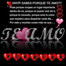 Te Amo Mi Vida Quotes Love You Love