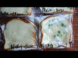 Moldy Bread Science Experiment Wash Your Hands Homeschooling Youtube Science Experiments Kid Experiments At Home Bread Mold