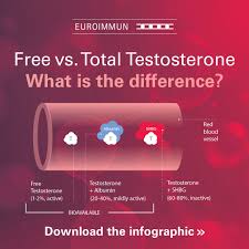 Image result for Total Testosterone