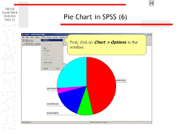 Sw318 Social Work Statistics Slide 1 Using Spss For Graphic