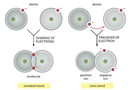 Covalent Bond Types Of Covalent Bond Properties