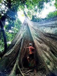 The hike up of this mountain do require some physical stamina but it can be done by anyone who has at least some form of physical healthy lifestyle. å'¨å¨èµ°å'¨å¨åƒ Gunung Datuk Rembau Negeri Sembilan Height Facebook