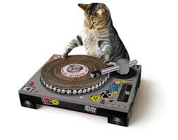 Check spelling or type a new query. This Company Makes Super Cool Toys For Your Super Spoiled Cat I Can Has Cheezburger