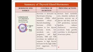 Image result for Thyroid Function Summary