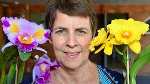 Orchid festival in full bloom