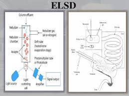 Uv, vis, and pda detectors the uv, vis, and pda detectors are categorized as absorbance detectors. Detectors Used In Hplc
