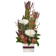 We did not find results for: Flower Delivery Australia Send Flowers To Australia From The Uk