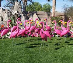 What A Lawn Flammant Rose Flamant Rose Decoration Jardin