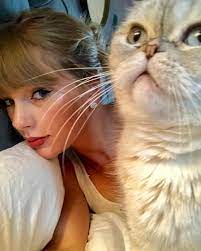 How Taylor Swift S Reputation Era Broke All The Rules And Made Her More Successful Than Ever Taylor Swift Cat Taylor Swift Pictures Taylor Swift Fan