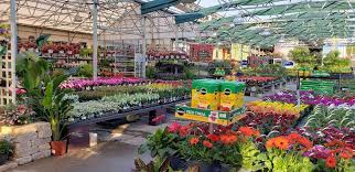 How much time do you ___ doing your english homework? Lowe S Garden Center 37051 Us 27 Haines City Fl 33844 Usa