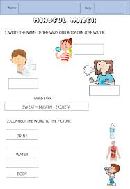 Water To The Body Worksheet