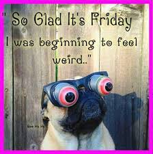 Is it friday yet meme. Slang Quotes About Work On Friday Meme Friday Sexta Its Friday Quotes Happy Friday Quotes Friday Dogtrainingobedienceschool Com