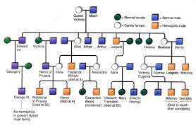 Queen Victoria Family Tree Showing The Carriers And