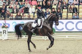 Antonia ramel is a swedish equestrian athlete. Antonia Ramel Fyra I Herning Ridsport