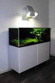 Nature Aquarium Tumblr Nature Aquarium Tropical Fish Aquarium Aquarium