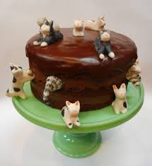 What i noticed was the… birthday cake for cat 2nd birthday pretty cakes cute cakes bolo artificial garden cakes cake. Cats Ronna S Cake Blog