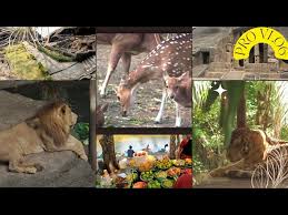 Sanjay Gandhi Udyan Borivali Mumbai ...