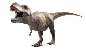 Was rex in return of the jedi? 10 Facts About Tyrannosaurus Rex King Of The Dinosaurs