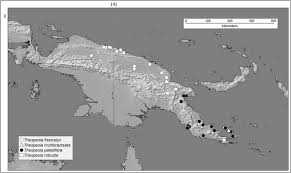 Image result for Cienfuegosia gerrardii