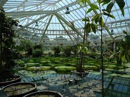 Jardin Botanique Meise Belgium Botanical Gardens Meise Greenhouse
